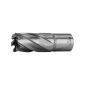 Makita - Kruna za magnetnu bušilicu 20mm - HB-20S