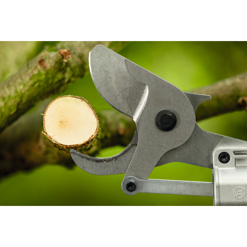 Bosch - Akumulatorske teleskopske makaze za orezivanje GGP18V-45EP - 06008D8002